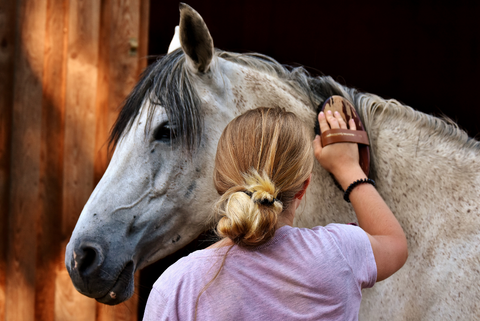 Horses