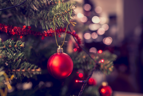 Christmas Tree with Red Bulbs